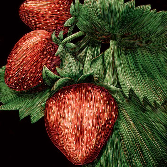 Scratchboard Art Panel Big Strawberry