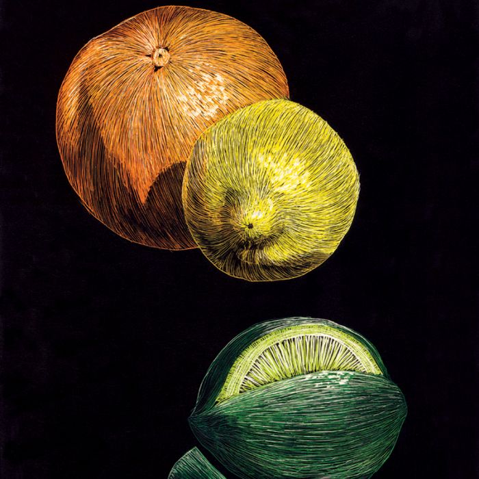 Scratchboard Art Panel Citrus