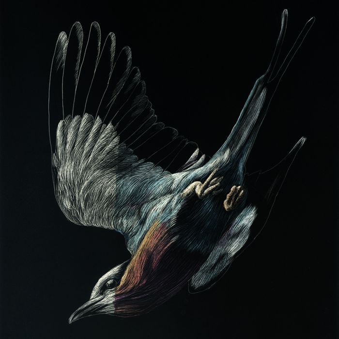 Scratchboard Art Panel Bird